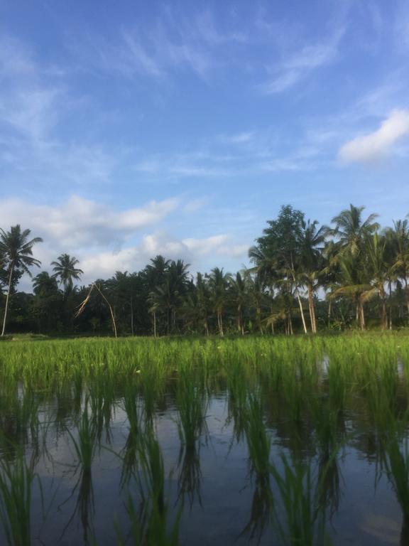 Umah Nik Kepitu Payangan Exterior foto